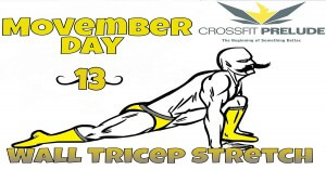tricep stretch richmond virginia overhead squat front squat best crossfit gym improve mobility
