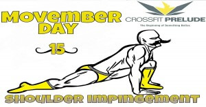 crossfit prelude richmond best crossfit gym shoulder rehab mobility overhead