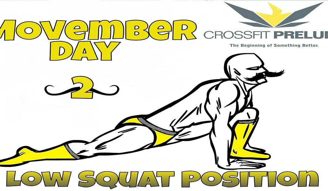 MOvember Day 2: The Low Squat Position, Improving Squat Performance