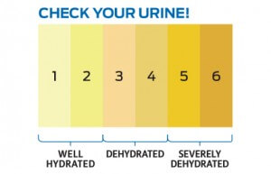 hydration chart