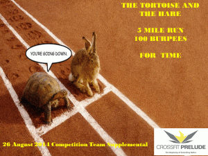 tortoise and the hare 2